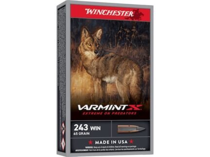 Winchester Varmint 243 65 Grain Extreme Point – 20 Rounds