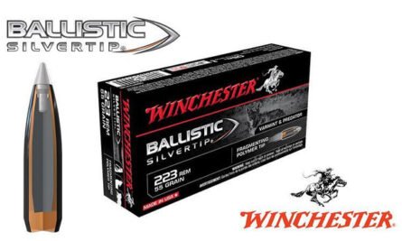 Winchester Ballistic Silvertip 223 55 Grain Varmint – 20 Rounds